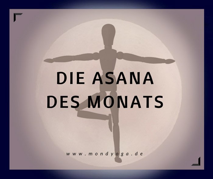 Read more about the article Die Asana des Monats Juni: Hand an die Wand – Eine Premiere