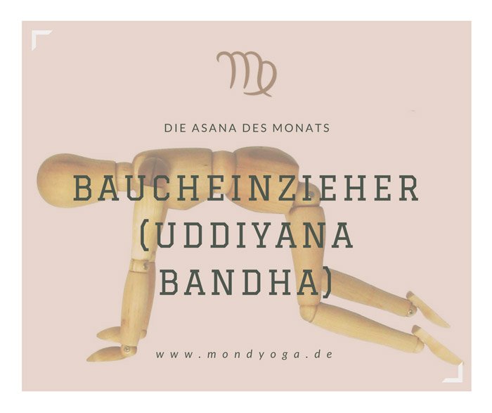Read more about the article Die Asana des Monats September 2017: Der Baucheinzieher
