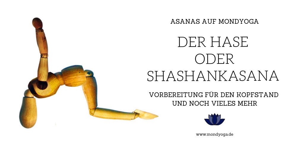 Der Hase (Shashankasana) ist nicht nur eine Asana, die uns auf den Kopfstand vorbereitet. 