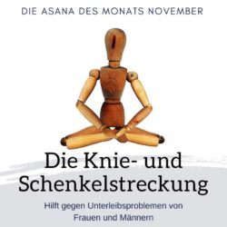 Die Asana des Monats November: Knie- und Schenkelstreckung