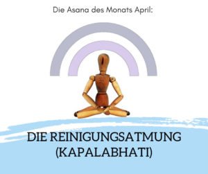 Asana des Monats April 2020: Die Reinigungsatmung (Kapalabhati)