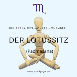 Die Asana des Monats November 2020: Der Lotussitz