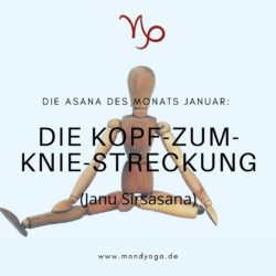 Die Asana des Monats Januar 2021: Kopf-zum-Knie-Streckung
