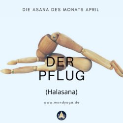 Asana des Monats April 2021: Der Pflug (Halasana)