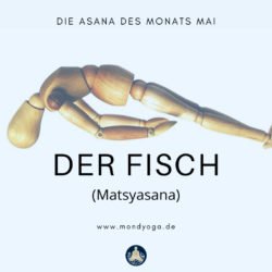 Die Asana des Monats Mai 2021: Der Fisch (Matsyasana)