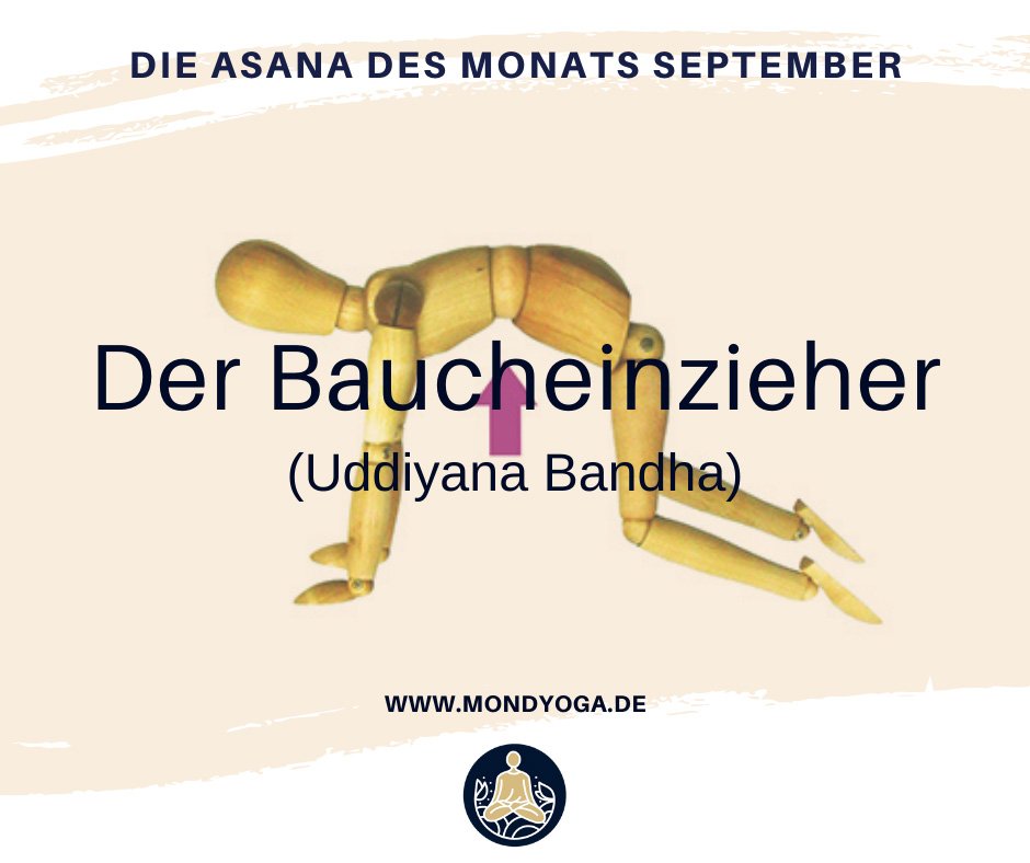 Asana des Monats September 2021: Der Baucheinzieher (Uddiyana Bandha)