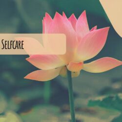 Selfcare – Meine Buchtipps für mehr Wohlbefinden und Achtsamkeit