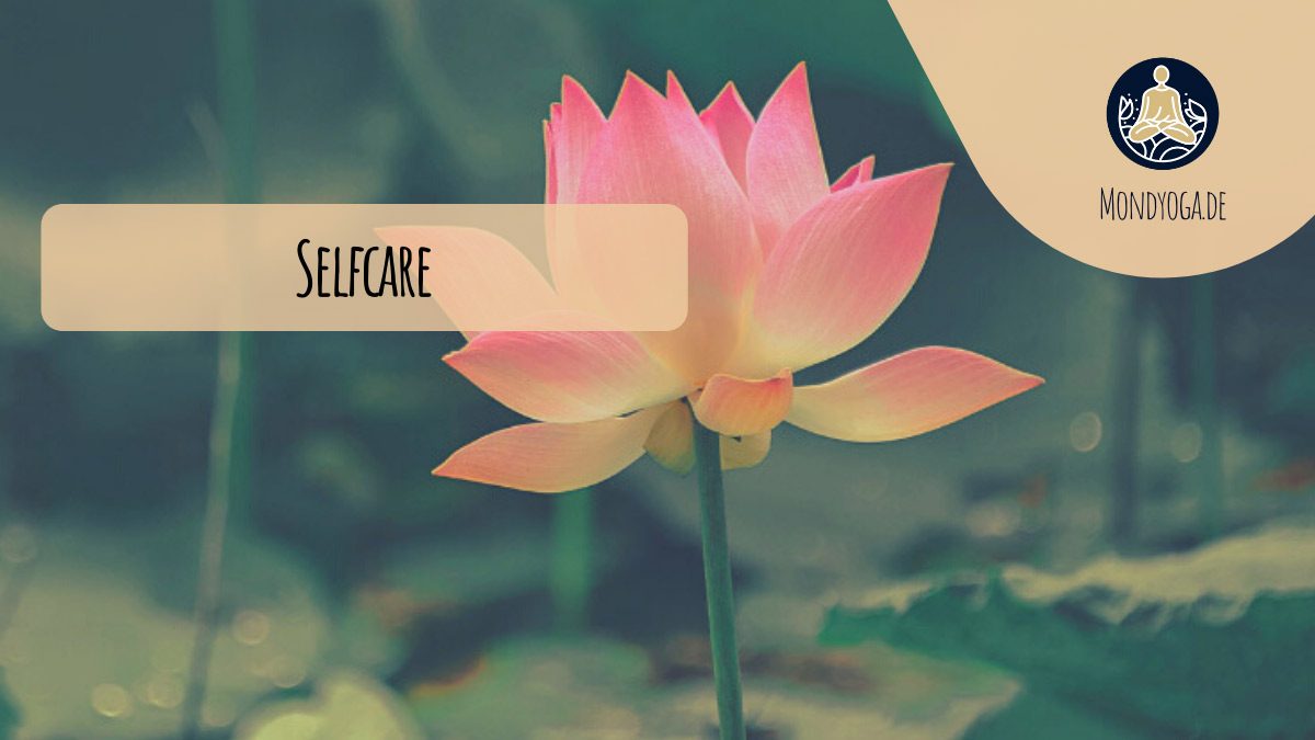 Selfcare - Meine Buchtipps für mehr Wohlbefinden und Achtsamkeit
