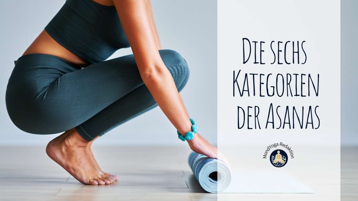 Die sechs Asana Kategorien im Yoga und warum du sie kennen solltest