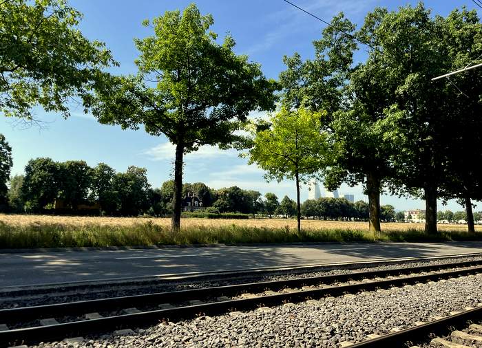 schweiz im doppelpack