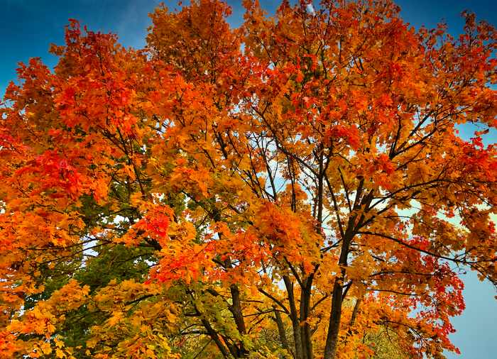 Herbstzauber