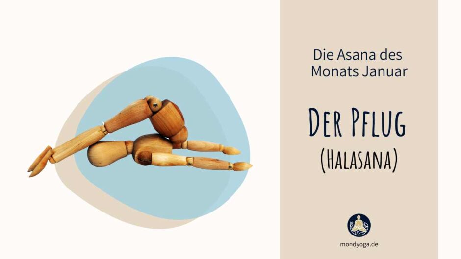 Wer rastet der rostet – Der Plug (Halasana) als Asana des Monats