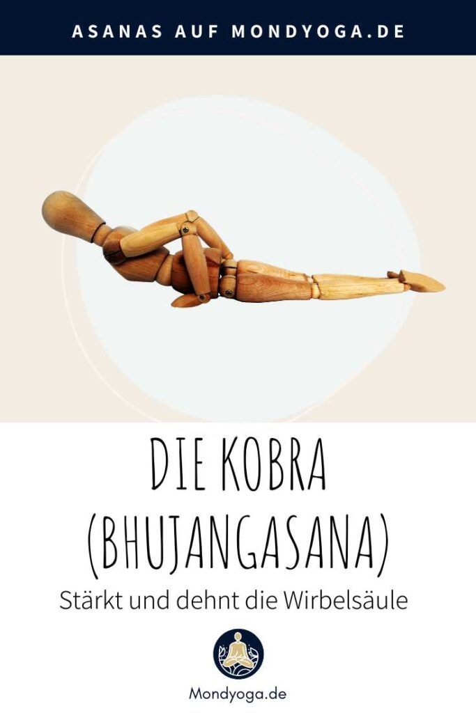 Die Kobra (Bhujangasana) - Stärkt und dehnt die Wirbelsäule und vieles mehr Die Kobra (Bhujangasana) - Stärkt und dehnt die Wirbelsäule