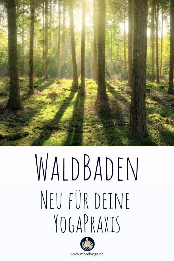 Waldbaden - So kannst du diesen Trend für deine Yoga-Praxis nutzen