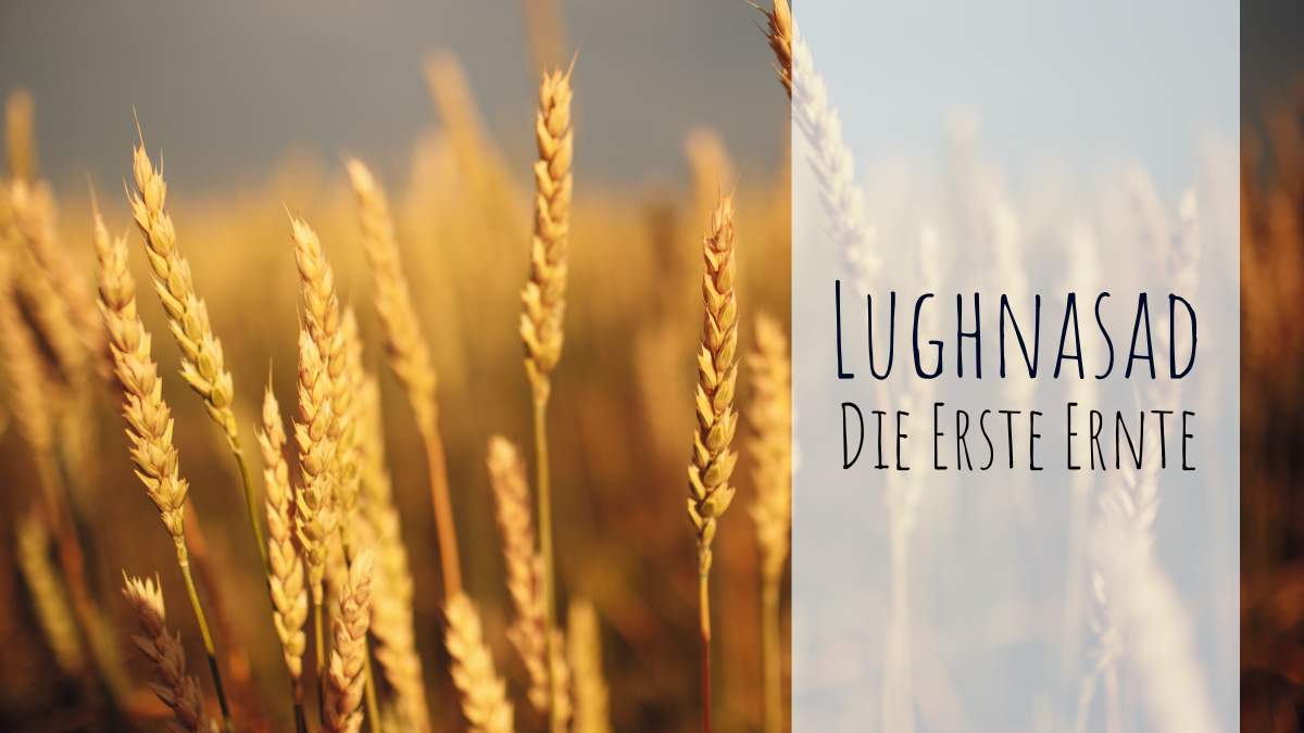 Lughnasad, das Fest der ersten Ernte - Mein Ritual