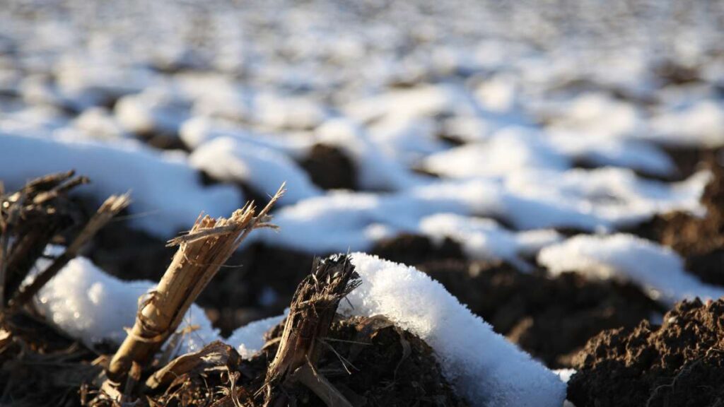 Imbolc und das Ende des Winters