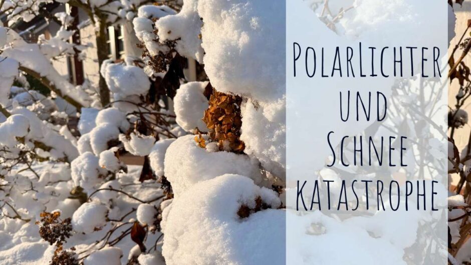Polarlichter und Schneekatastrophe – Gelernt im Januar